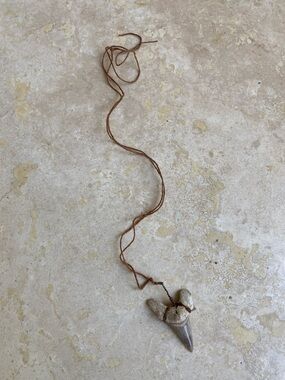 “Shark tooth” necklace from Maui- L